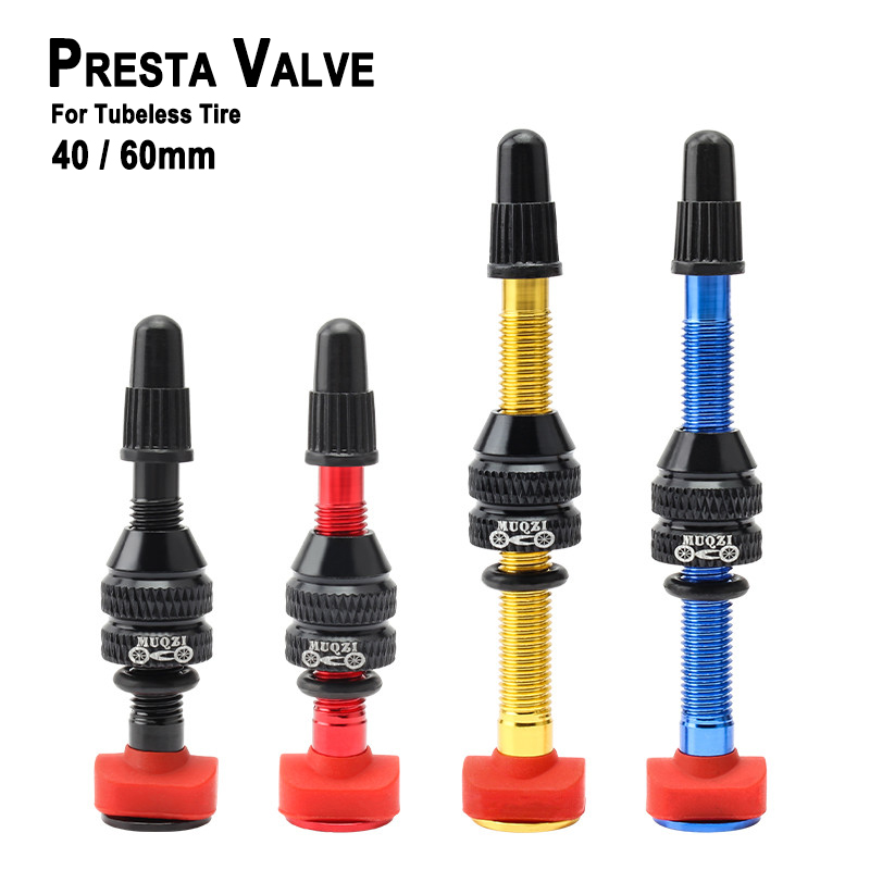 Mountain Biking In French - Valve Presta de vélo de route